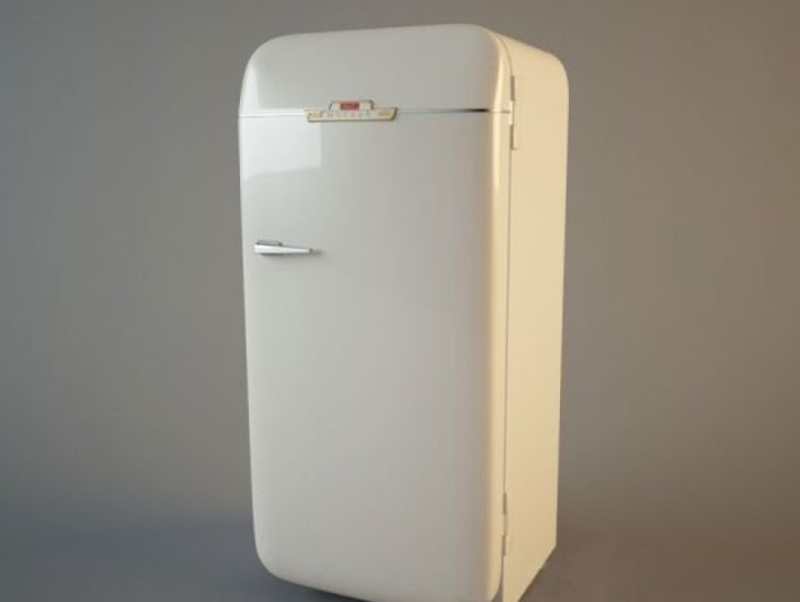 В Запорожской области обманутые полицейские носили холодильник