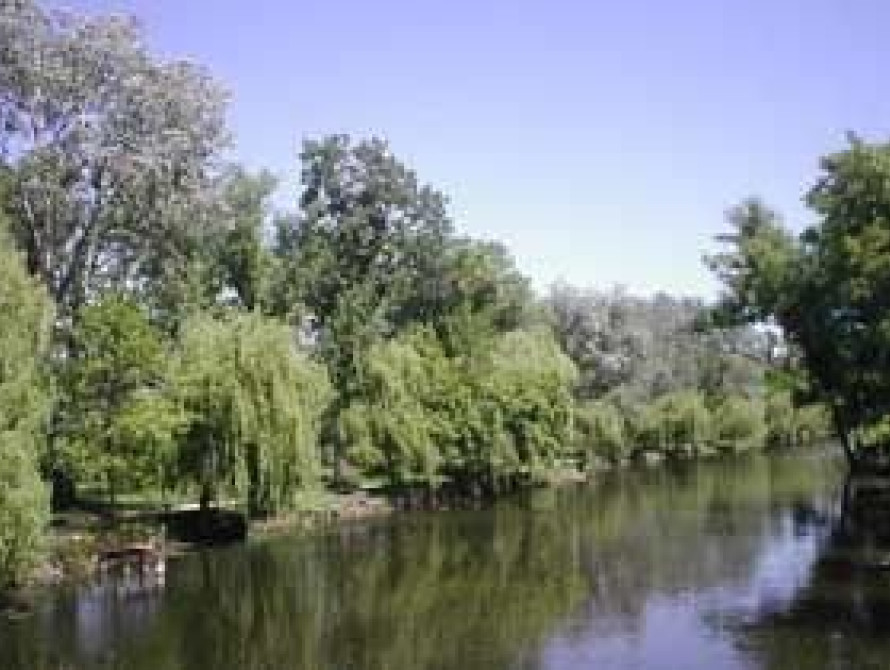 В Запорожье в парке "Дубовая роща" начались гонения на частный бизнес