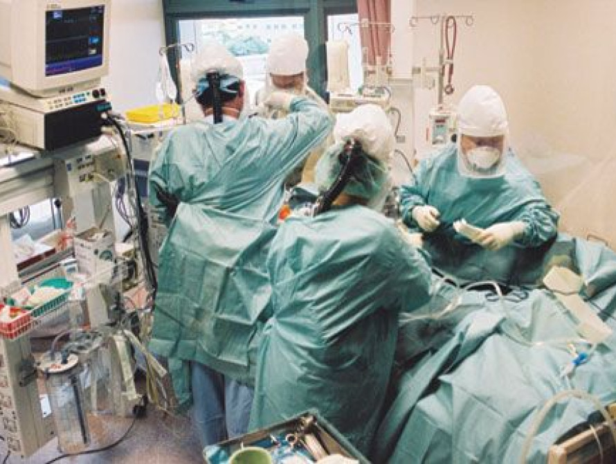 В Запорожье женщина сорвалась с дерева и попала в реанимацию