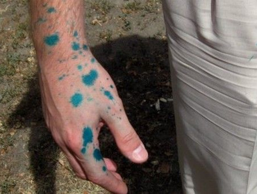 В Запорожье депутата Татьяну Ковылину облили зеленкой на школьной линейке 