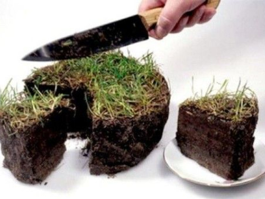 Прокуратура Запорожской области помогла вернуть землю общине