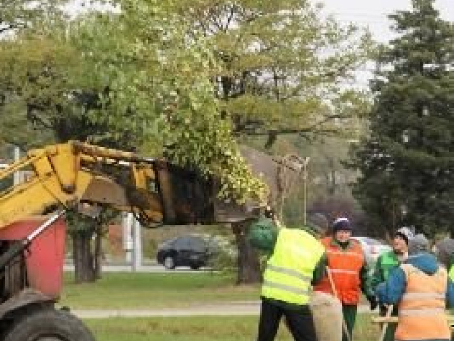  В Запорожье высаживают деревья по городу и в "Дубовой роще"