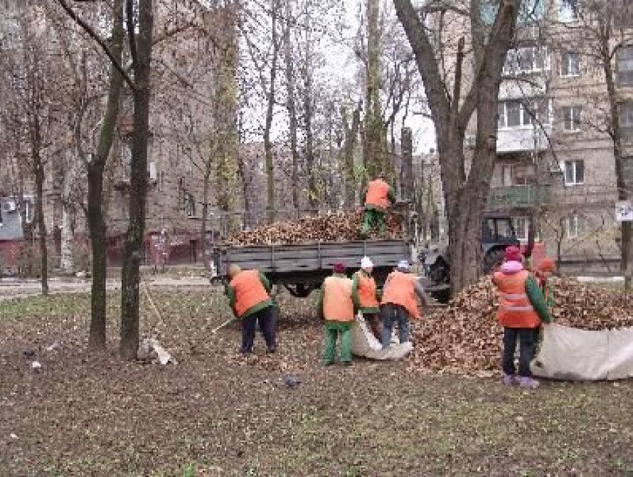 В Запорожье "Умвельт" и Дрозденко будут бороться за 13 миллионов на уборку листвы