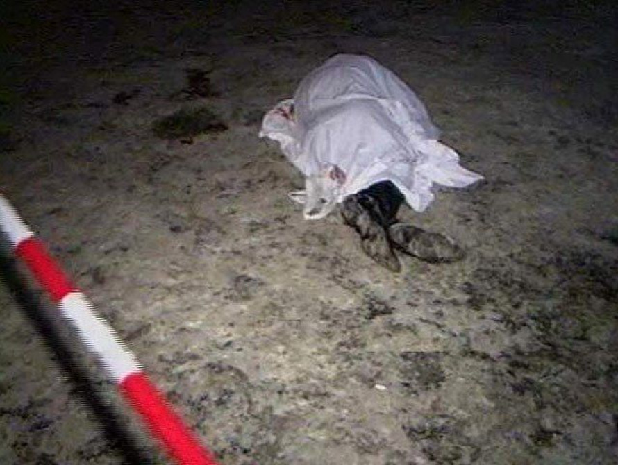 В Кирилловке мужчина погиб, упав в яму во дворе своего дома