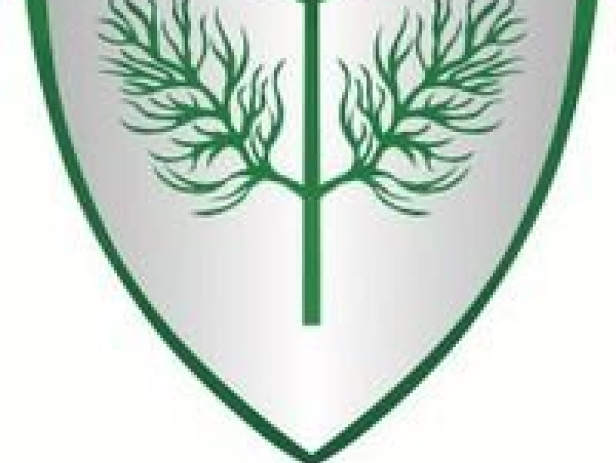 Из запорожского "УКРОПа" хочет выйти очередная порция депутатов