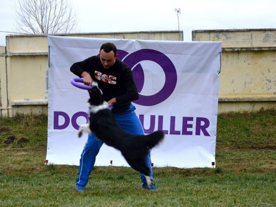 В Запорожье собака с хозяином побили Национальный рекорд Украины