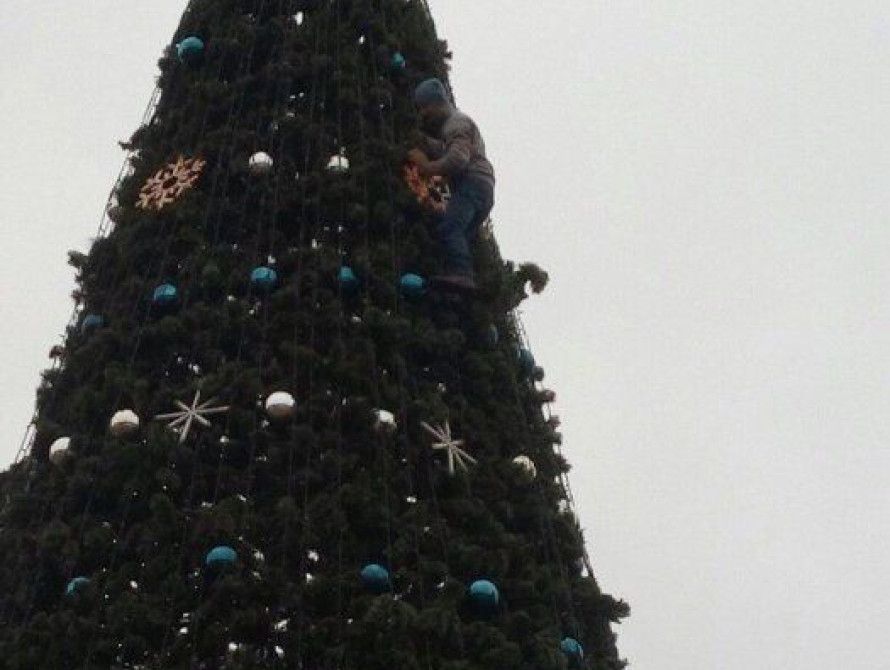 В Мелитополе мужчина залез на главную елку города ради селфи