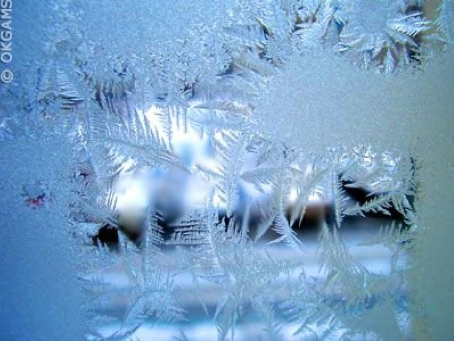 В Запорожье одна из политпартий устроила пиар на непогоде (фото)