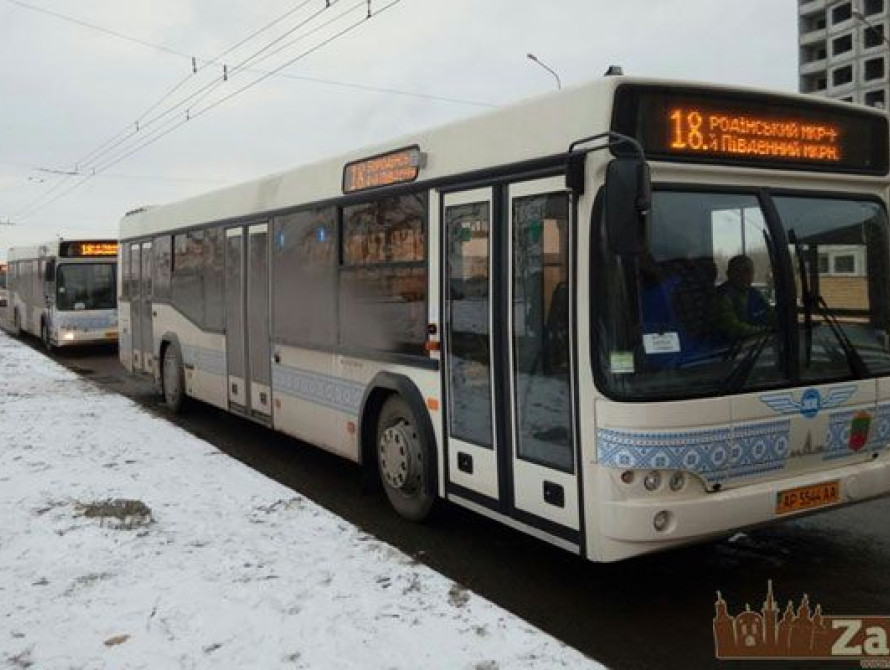 В Запорожье депутаты проголосовали за выделение дополнительных средств на покупку крупногабаритных автобусов