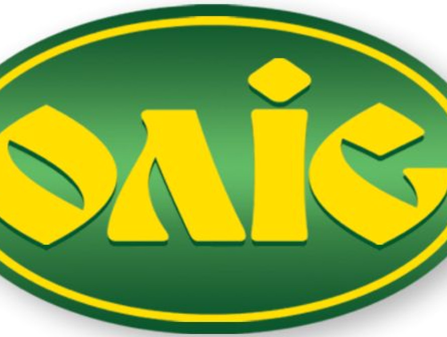 Маски-шоу на запорожском предприятии "Олис" (фото)