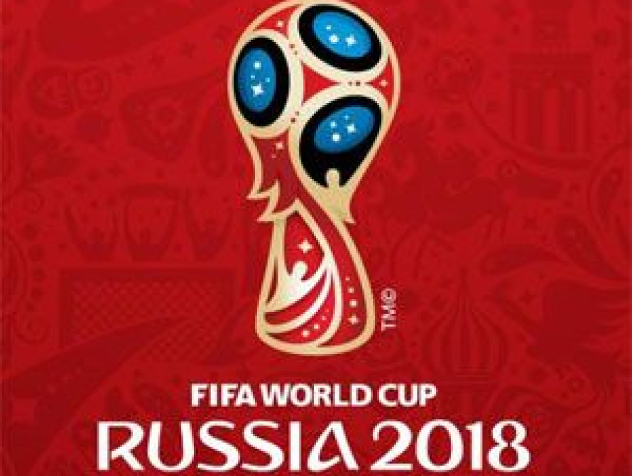 На матче Косово-Украина запорожцы растянули свой флаг (фото)