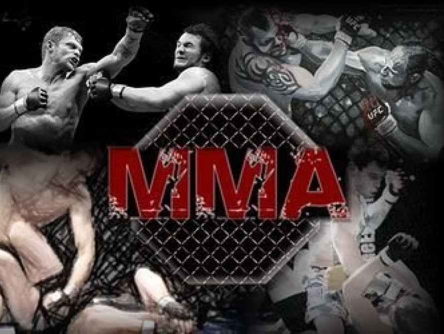  В Запорожье в новом клубе прошел турнир по ММА (фото, видео)