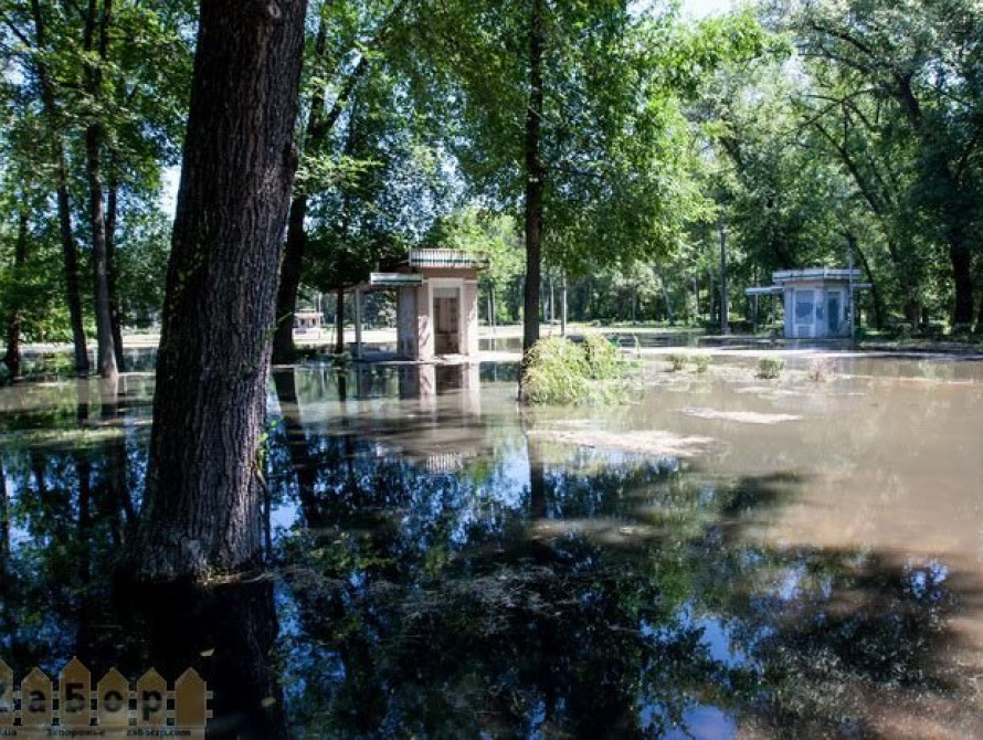 В Запорожье в "Дубовой роще", при очистке большого пруда, воду с илом сливают прямо под деревья (фото)