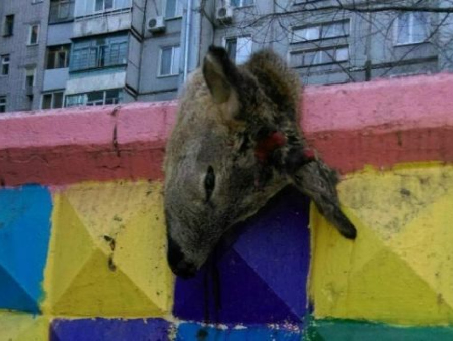 В Запорожье детскую площадку "украсил" труп оленя (фото)