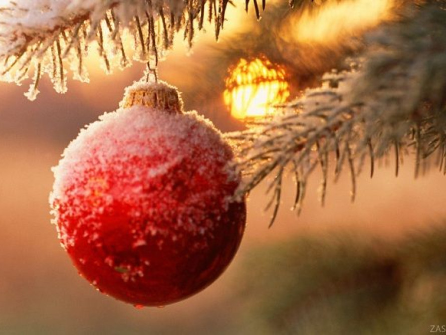 По Запорожью ездит новогодний троллейбус