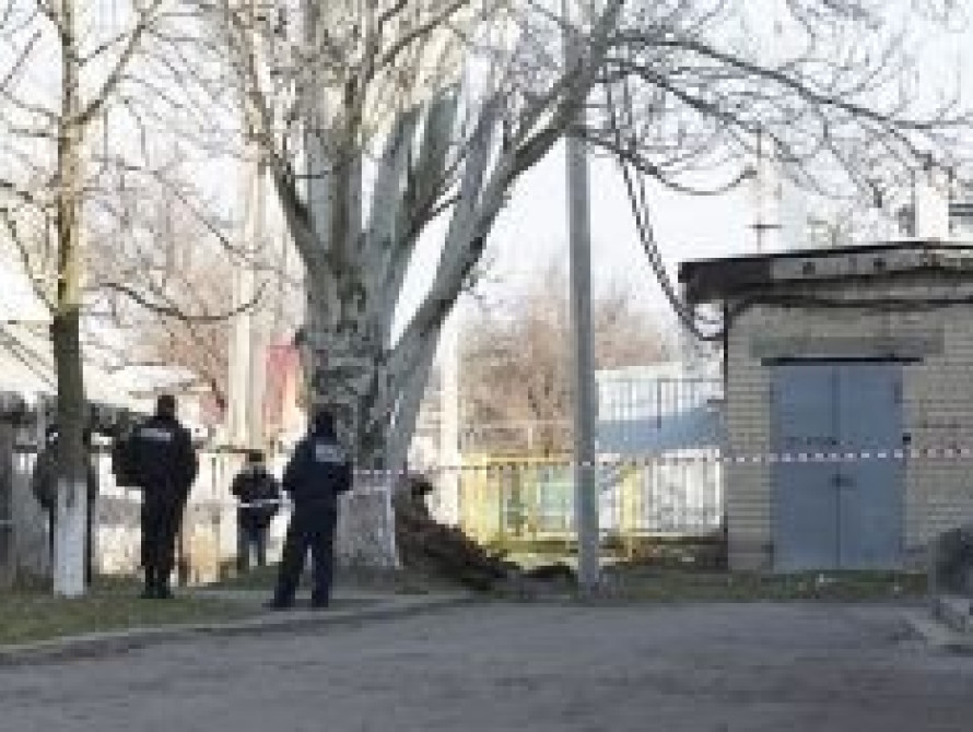 В Запорожскую область приехали датчане, чтобы снять фильм