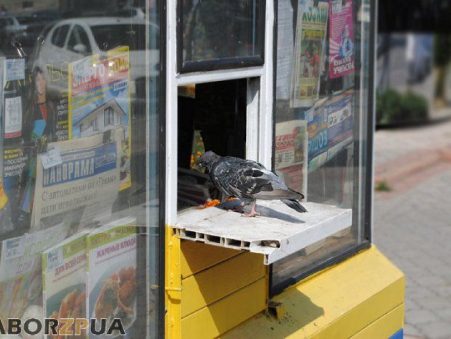 В Запорожье киоск КП "Пресса" стал домом для бездомных (фото)
