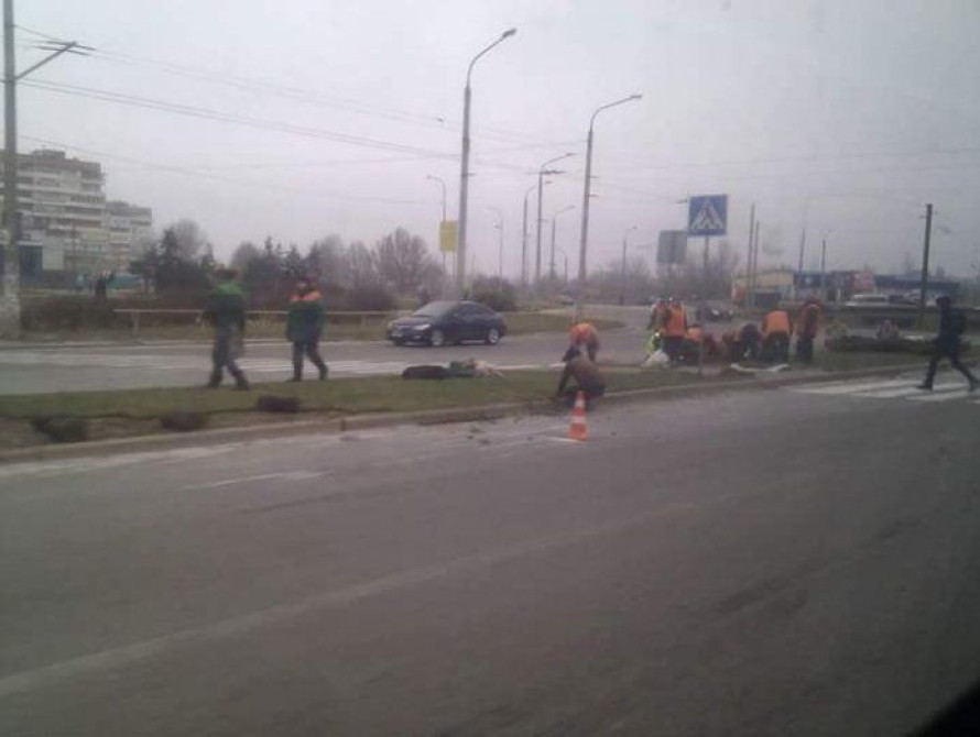  В Запорожье для посева газонов коммунальщики стали использовать новый метод - гидропосев (фото)