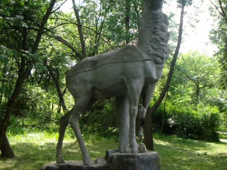 В Запорожье 4 дня боролись за жизнь сбитого оленя 