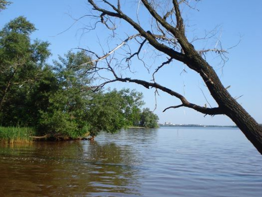 Жителей Днепра оригинально приглашают в Запорожье (Фото)