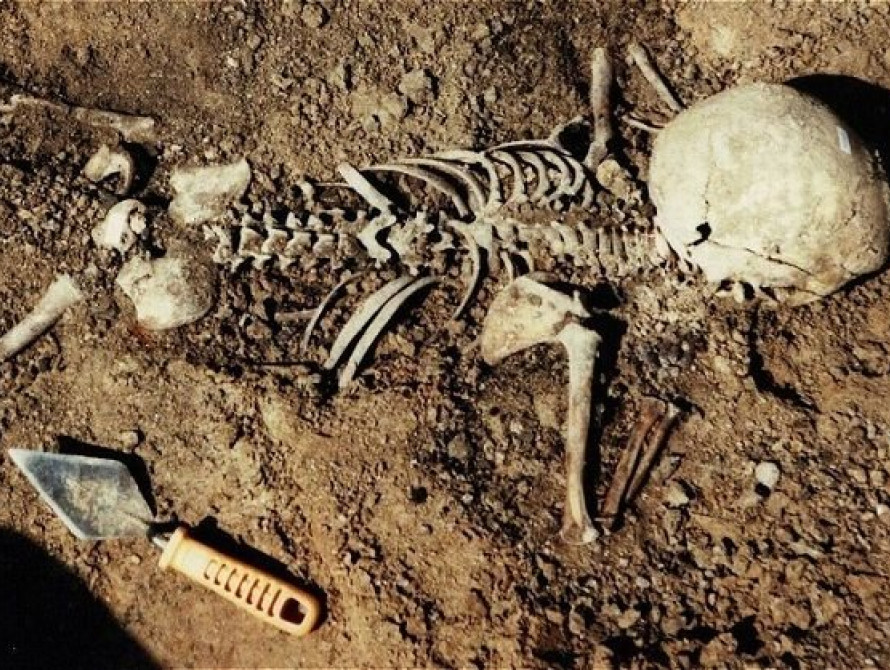 Под Запорожьем в ДК хранились мешки с человеческими останками (фото)