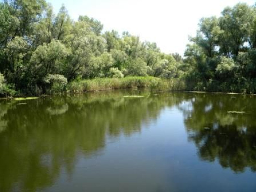 В Запорожье запустили двух роботов, которые будут чистить воду в реках (фото, видео)