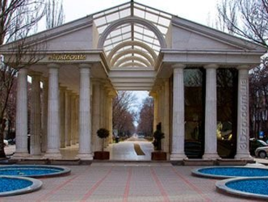 В центре Запорожья облили краской афишу с Петлюрой (фото)