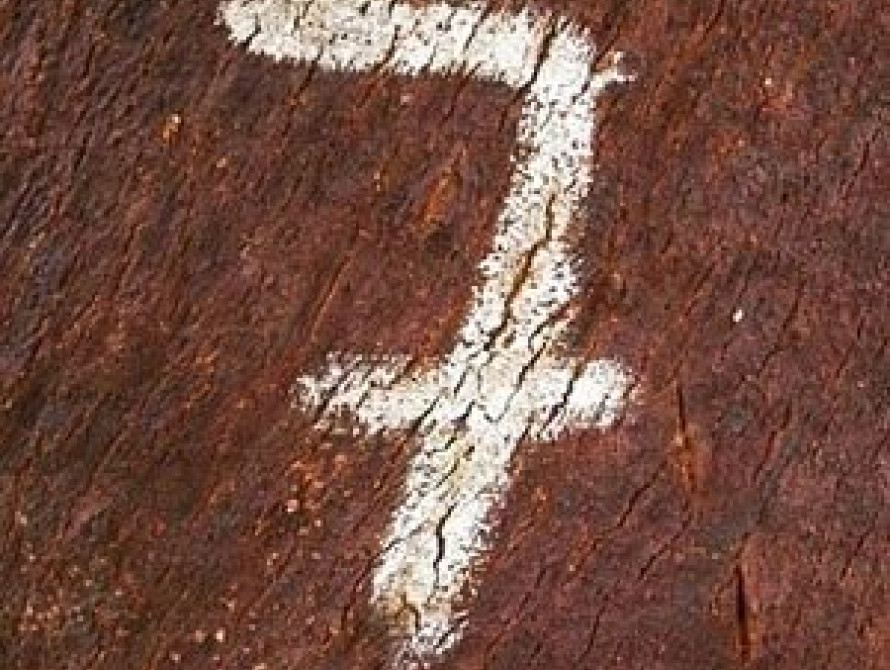 Итоги пятницы в Запорожье: маршрутчики о повышении цены за проезд, "жара" на Монатике, избиение у "Амстора"