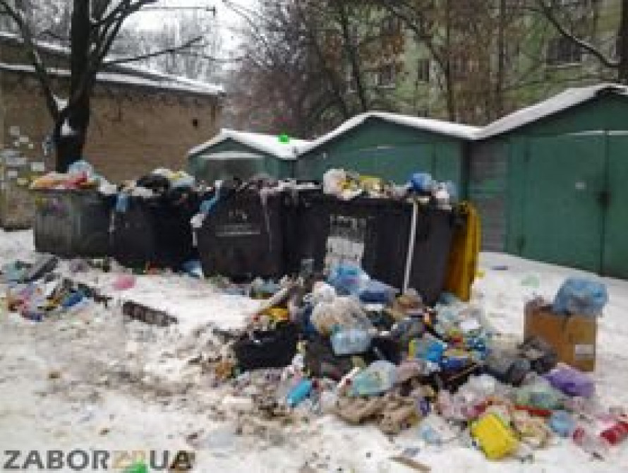 В Запорожье во дворах за три недели сожгли 38 мусорных баков 
