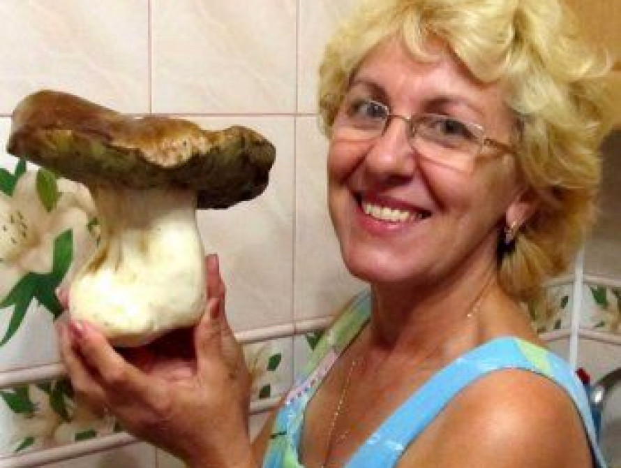 Запорожец вырастил у себя во дворе грибы-"великаны" (фото)