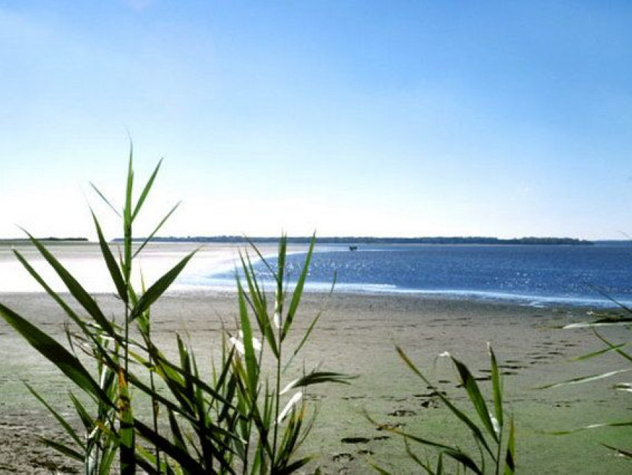 В Запорожской области начали работы по глобальной расчистке промоины, соединяющей Азовское море и Молочный лиман