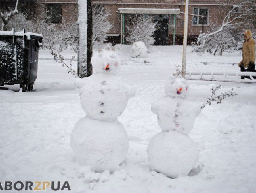 Парад снеговиков в Запорожье и Бердянске (фото)