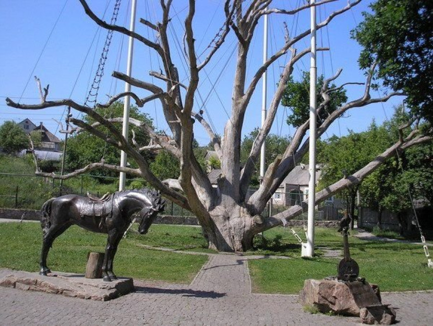 На Хортице поставят мемориальный комплекс с гранитным стволом Запорожского дуба