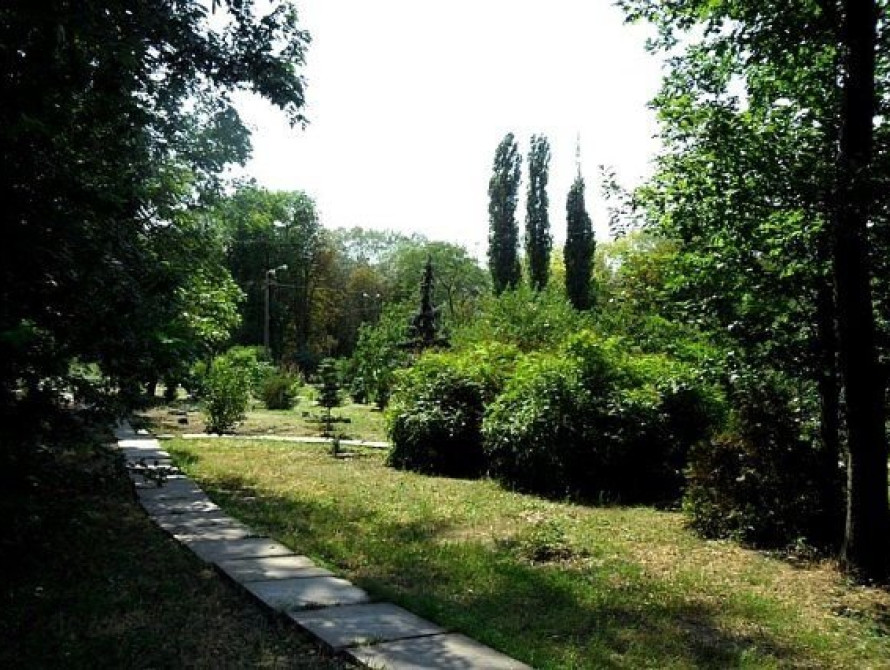 В Запорожском ботаническом саду расцвела сакура, магнолии, калина (фото)