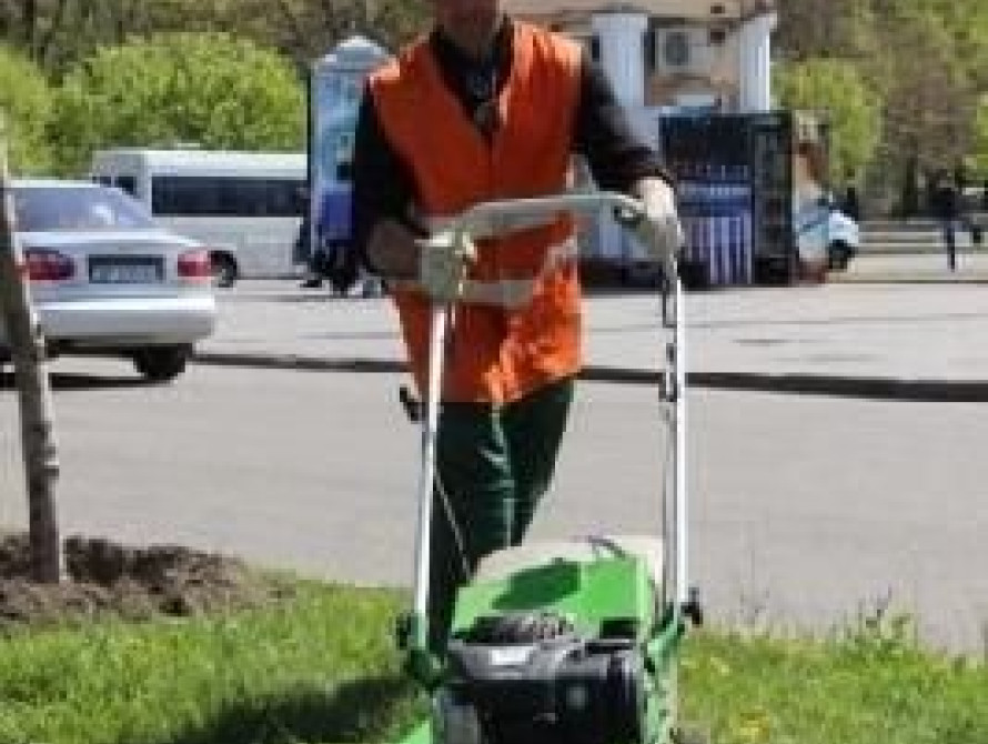 В Запорожье в Заводском районе покосят траву за 1,6 миллиона гривен