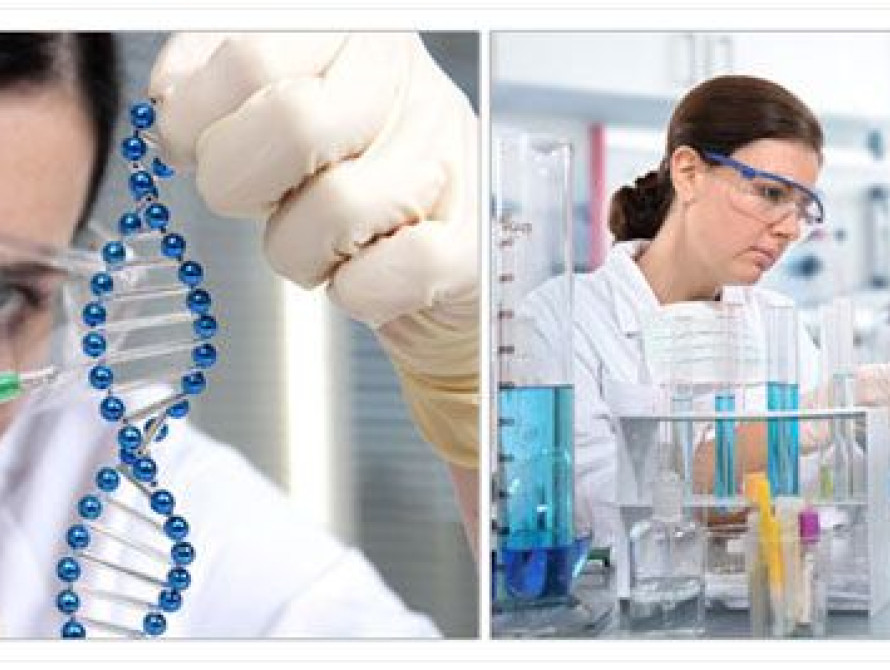 В Запорожье на пяти пляжах обнаружили отклонения в воде 