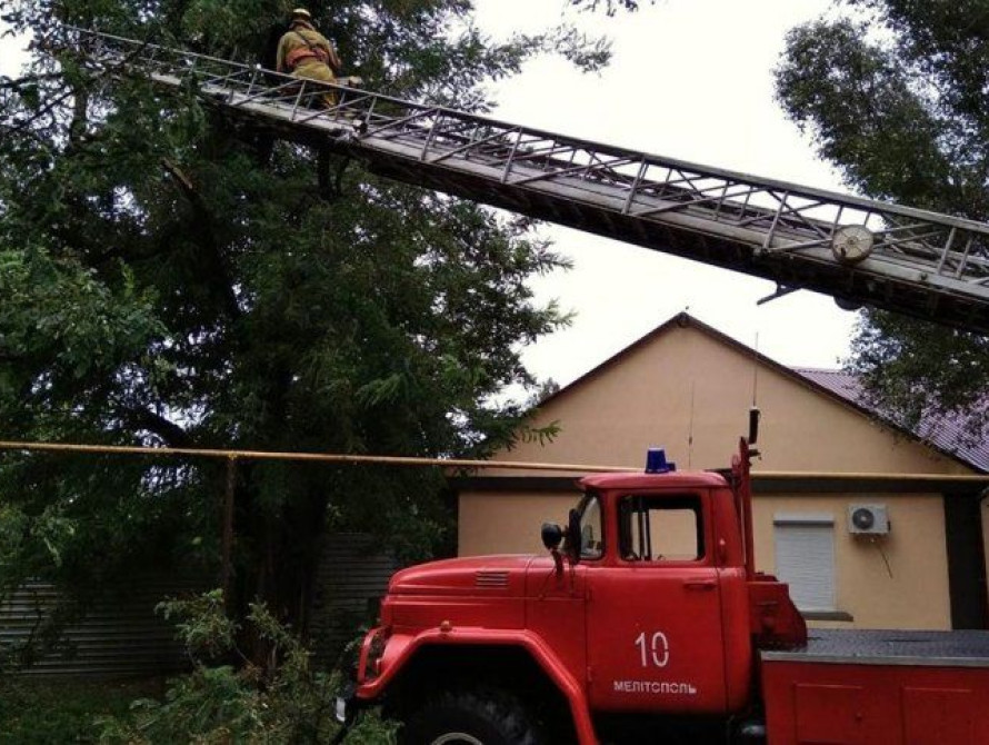 В Запорожье около 500 абонентов остались без света