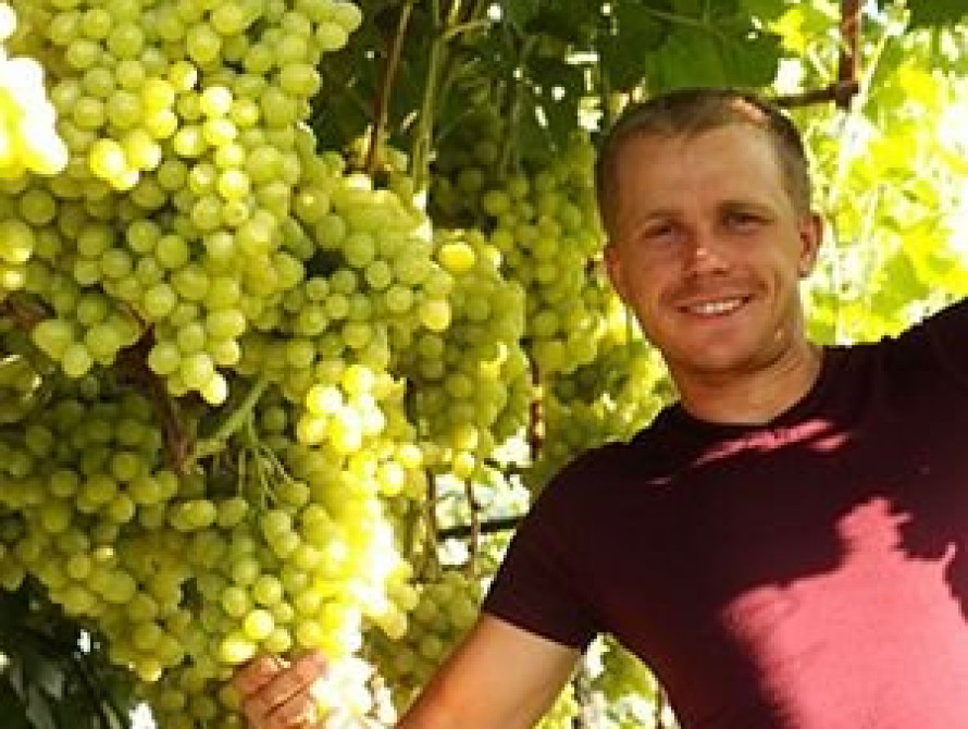 В Запорожье показали гигантскую виноградную гроздь