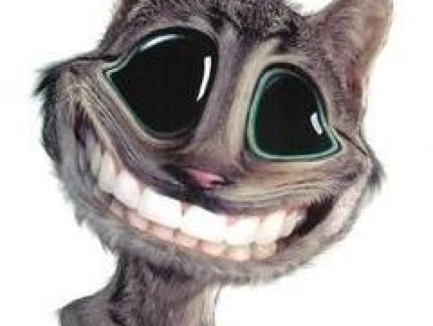 На каких знаменитостей похожи запорожские политики?! 