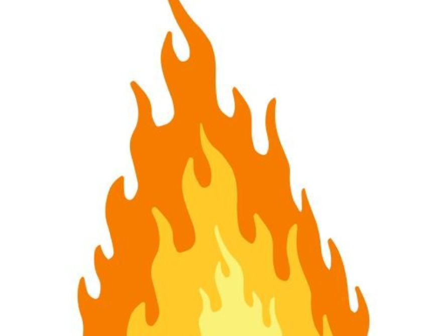 Житель Запорожской области заживо сжег щенков 