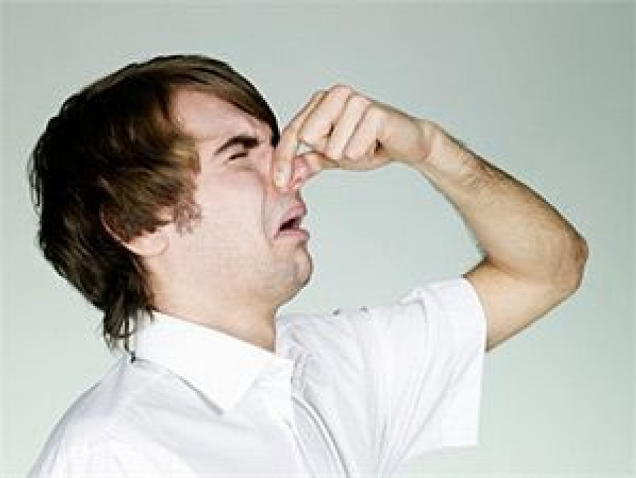 В мэрии определили источник зловонного запаха, накрывшего Запорожье на выходных