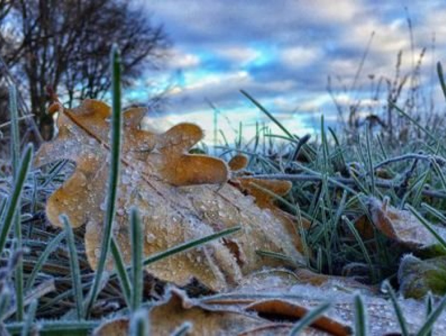В Запорожье пришли первые заморозки (фото)