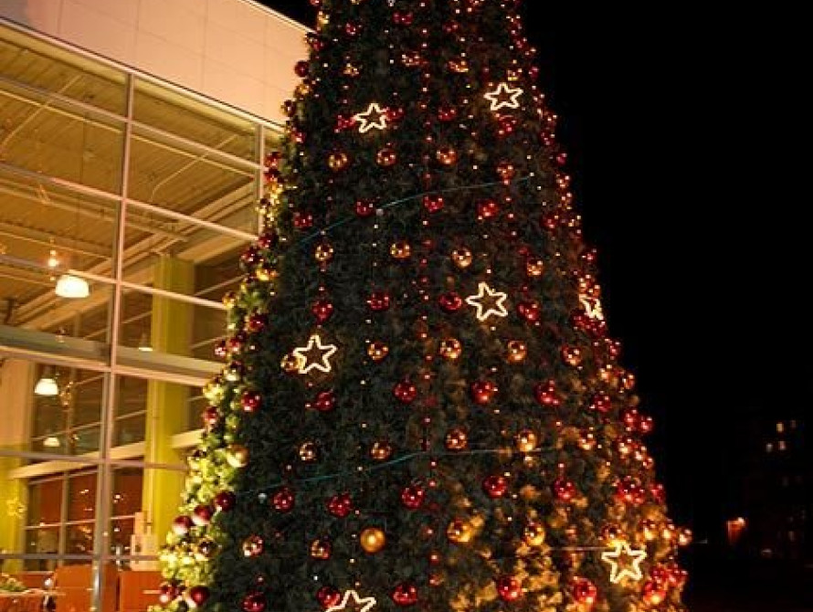 В Запорожье начали установку новогодних елок возле ТЦ (фото)