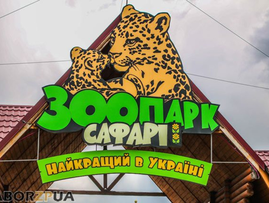 Львы из Запорожской области прибыли в заповедник в Африке (фото)