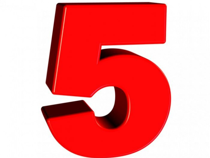 Итоги вторника в Запорожье: новый дизайн трамваев, труп в холодильнике,  массовая гибель пчел