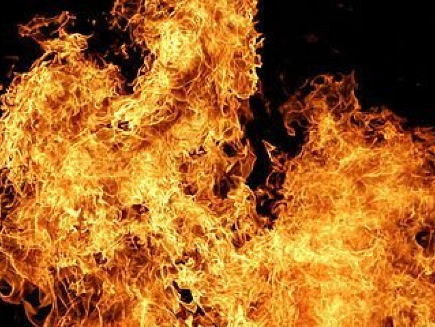 В Запорожской области на трассе по дороге в Кирилловку задымился автобус (видео)