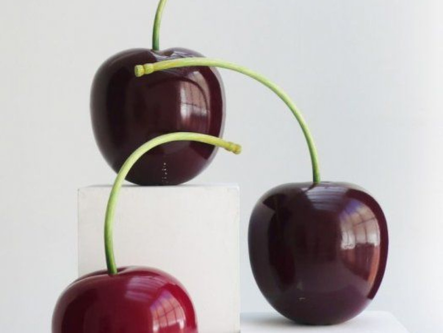 В Запорожской области появится 14 скульптур черешни