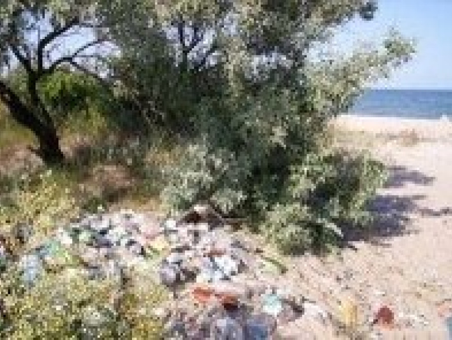 В Запорожье предлагают благоустроить и сделать современным пляж "Островок" 