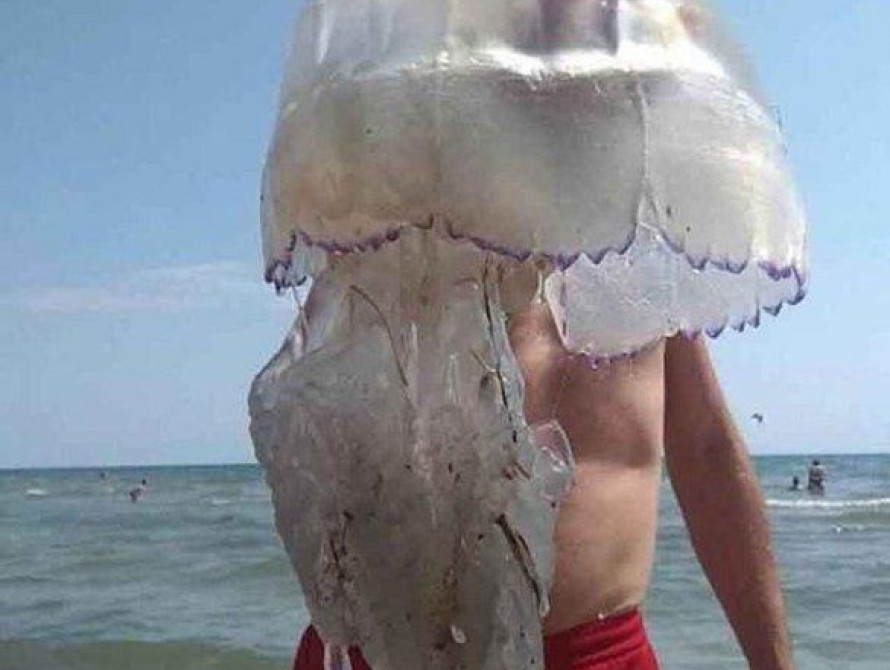 На Запорожском курорте нарисовали огромную медузу (видео) 