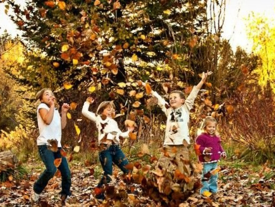 В Запорожье с понедельника все учебные заведения уходят на каникулы - Владимир Буряк